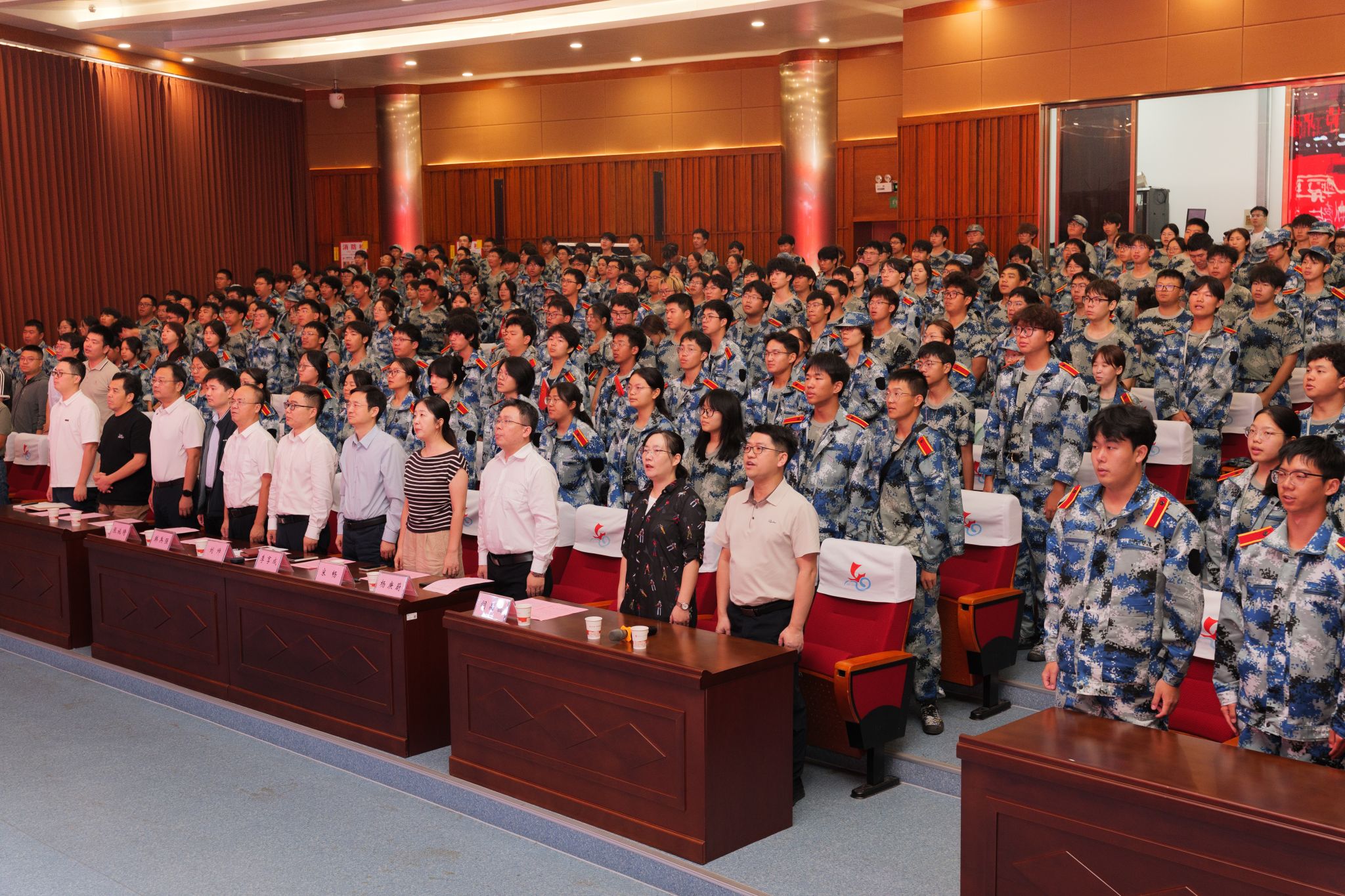 82D43